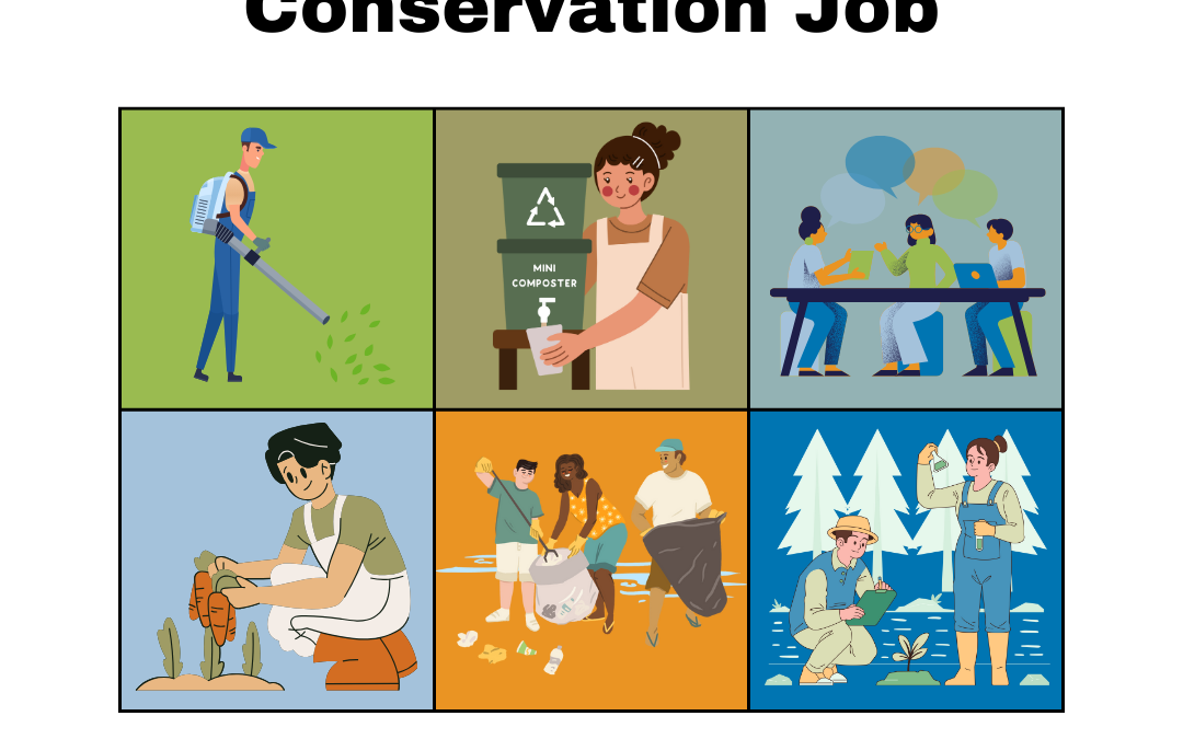 Tips on Applying for a Conservation Job
