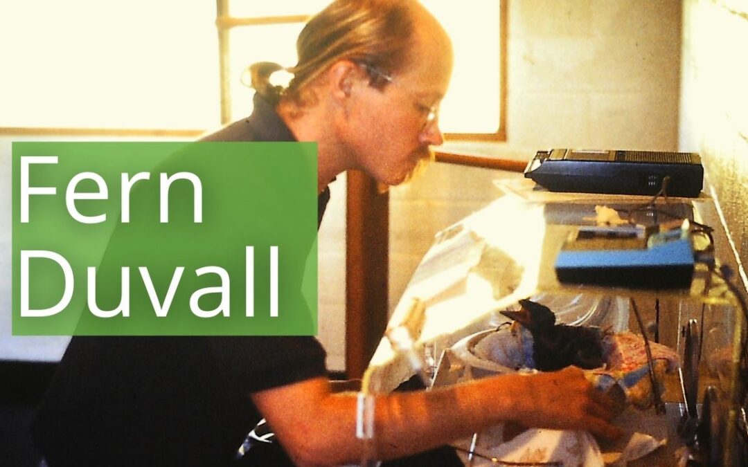 Fern Duvall