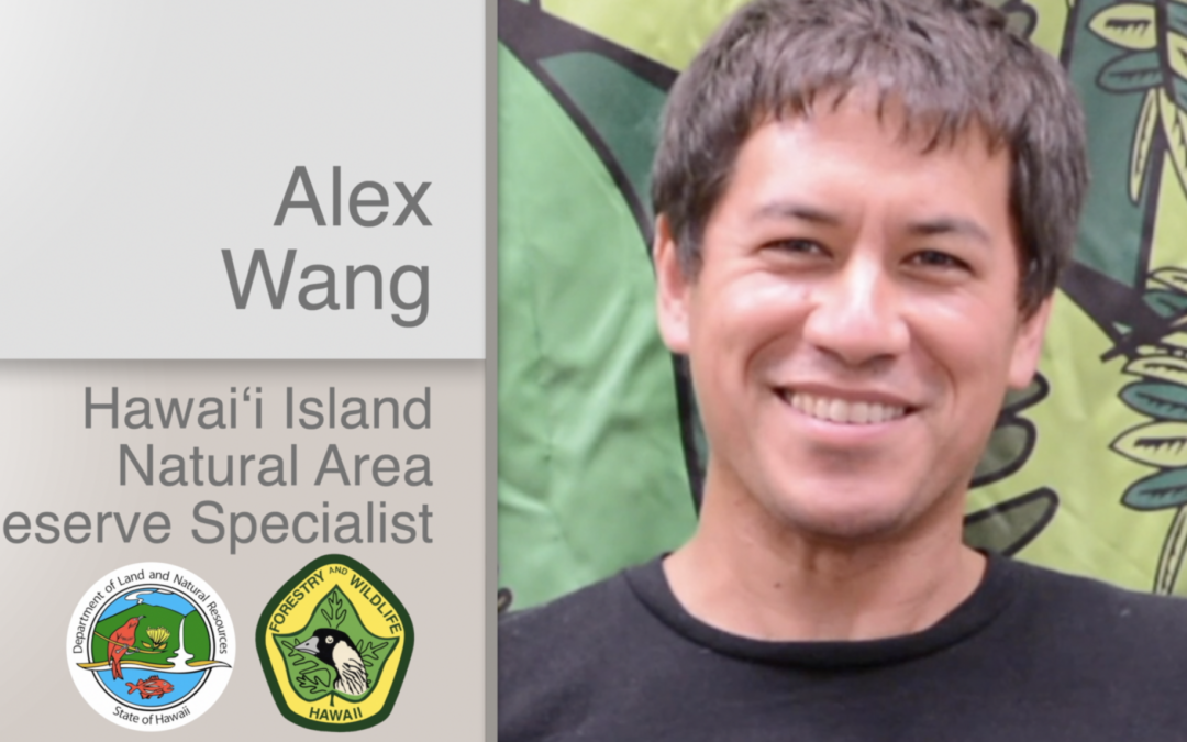 Alex Wang