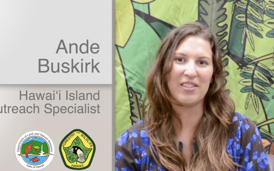 Ande Buskirk