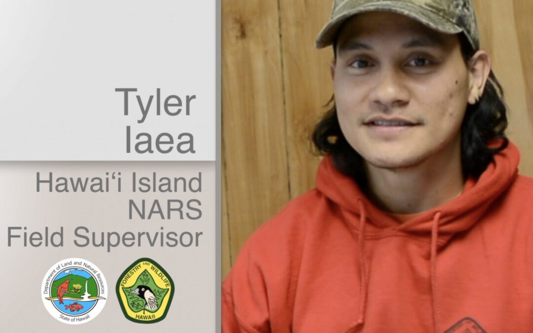 Tyler Iaea