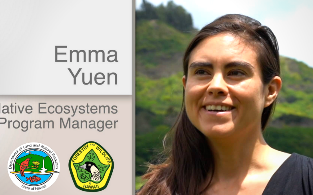 Emma Yuen