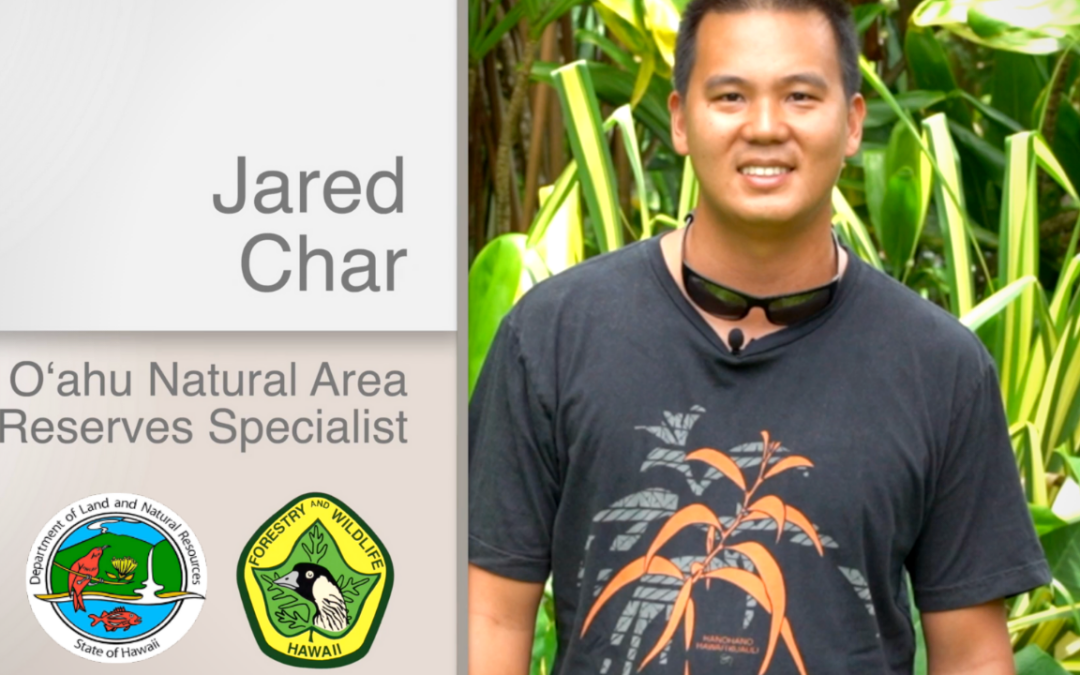 Jared Char