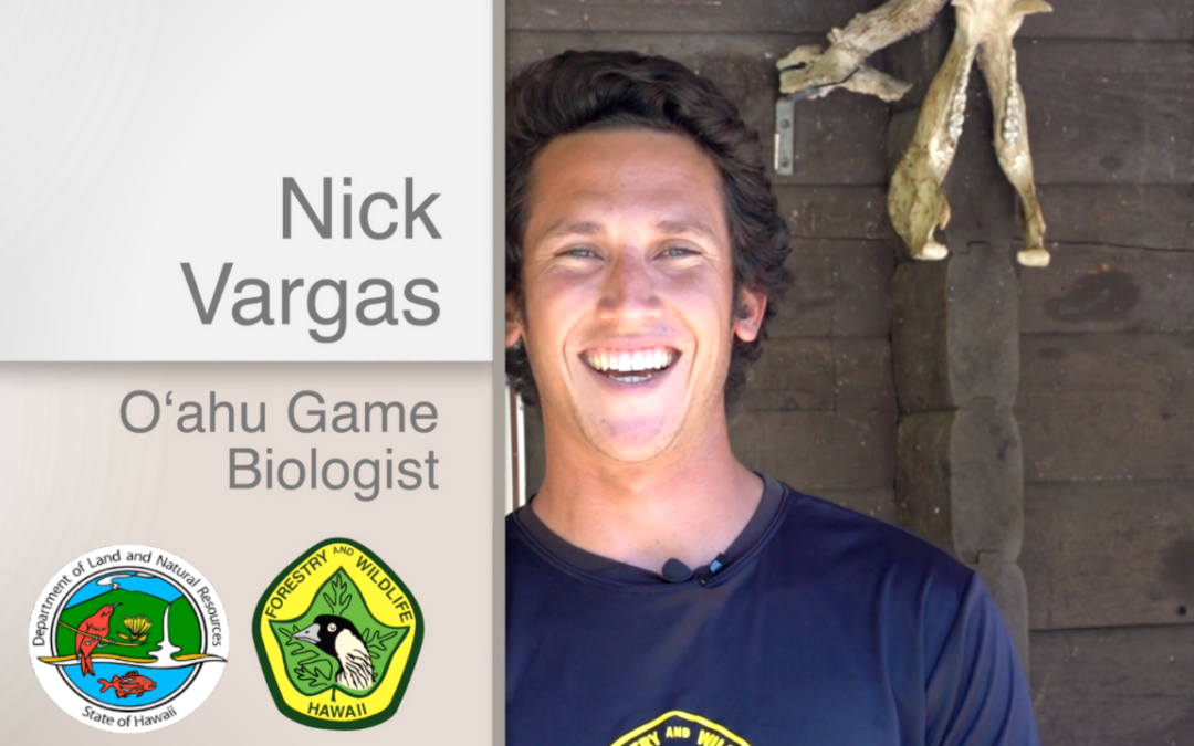 Nick Vargas