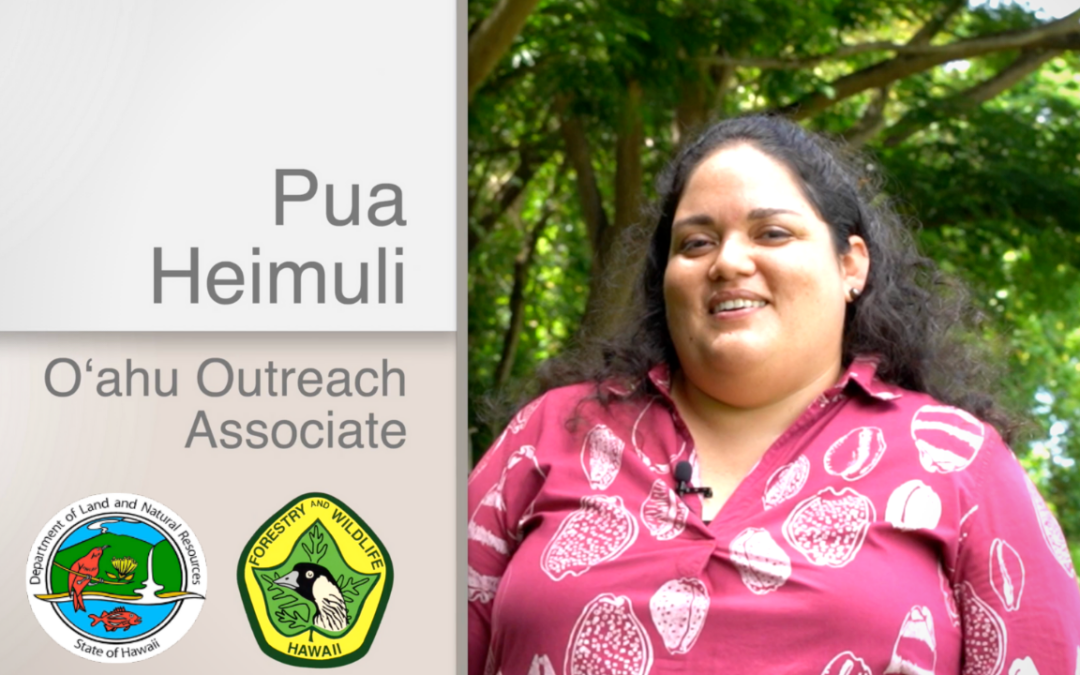 Pua Heimuli